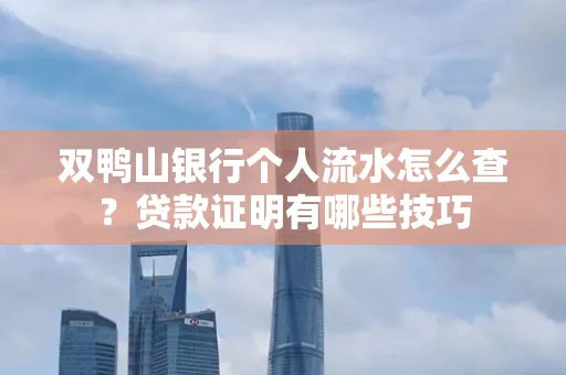 双鸭山银行个人流水怎么查?贷款证明有哪些技巧